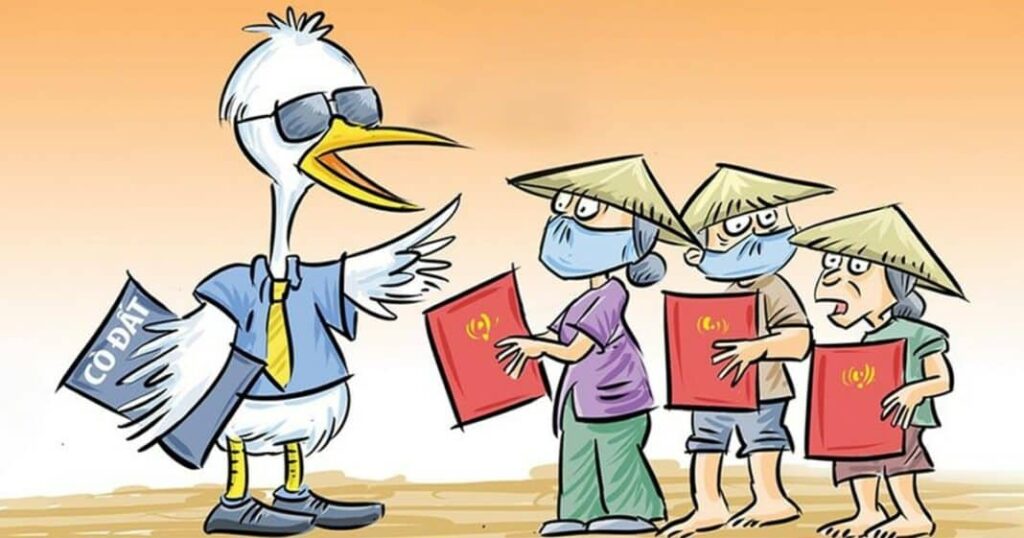 Cò mồi, cò đất