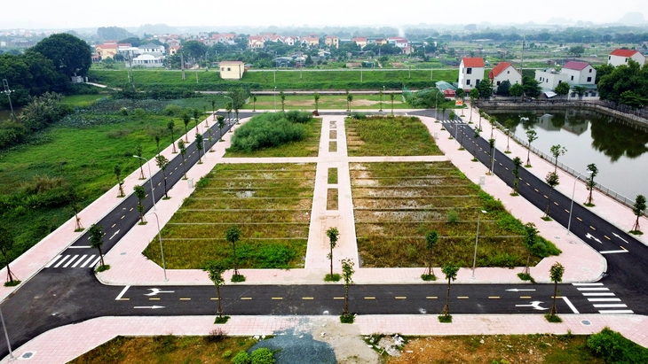 Chặn đầu cơ, lướt sóng trong đấu giá đất